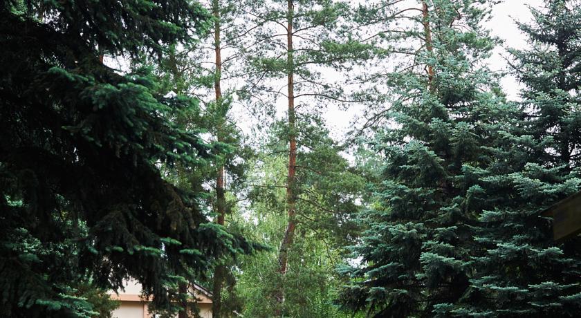 Гостиница Park Hotel DolceVita