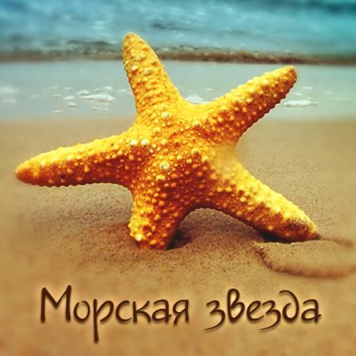 Гостиница Starfish
