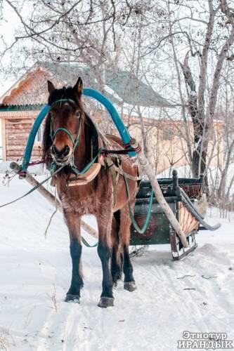 Гостевой дом Загородный Дом в Мустаево
