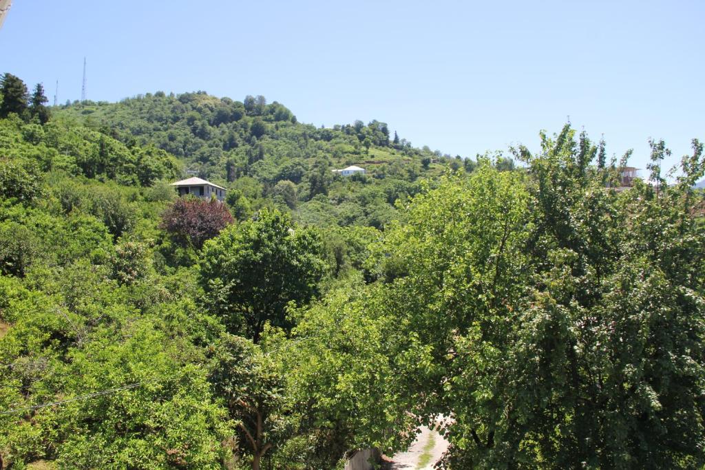 Гостевой дом Guest House Green cape