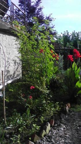 Guest House Ilya