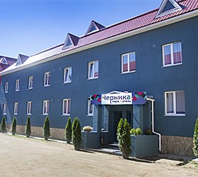 Гостиница Черника Арт Парк-Отель