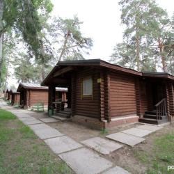 Подснежник