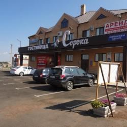 Сорока