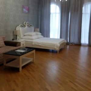 Гостиница Метрополь