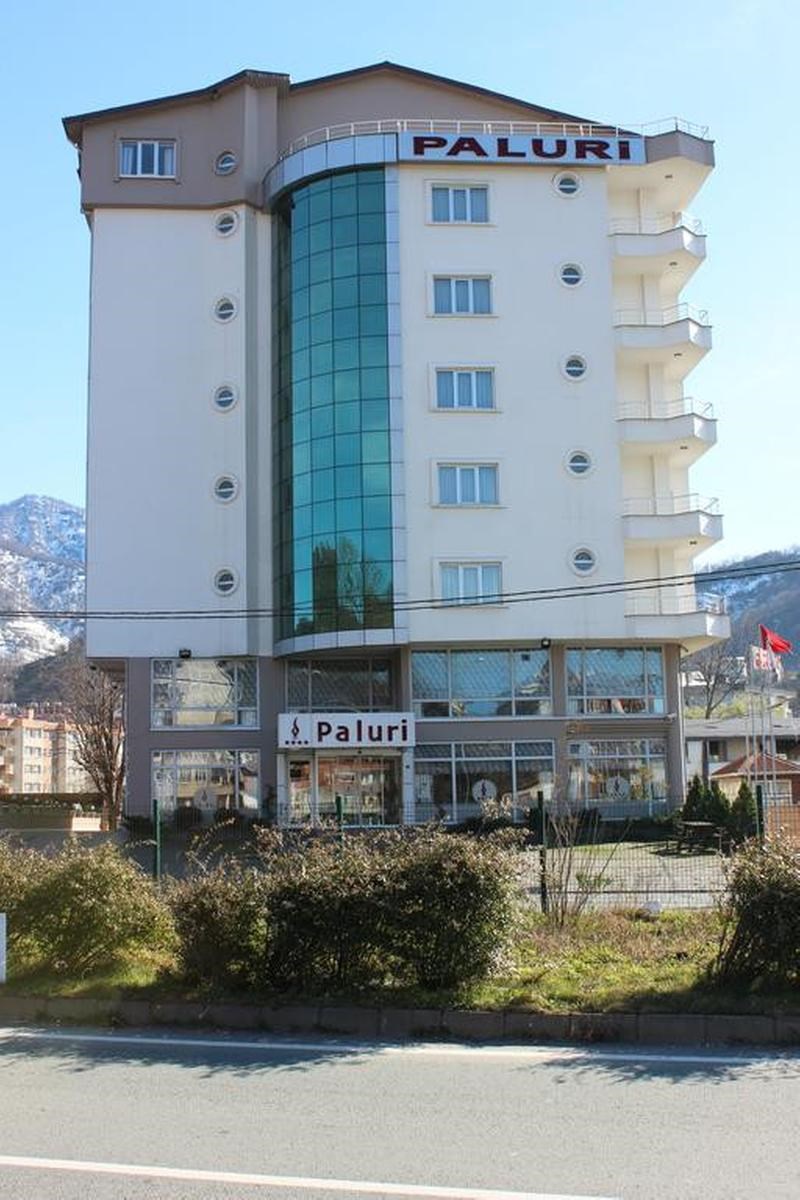 Отель Paluri Hotel