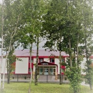 Гостиница Аэроотель