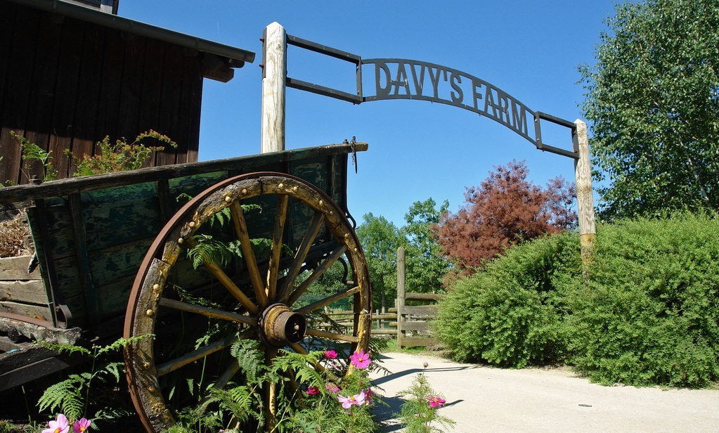 Отель Disney's Davy Crockett Ranch