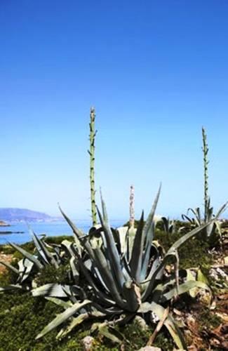 Grecotel Meli Palace