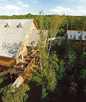 Отель Hotel des Trois Hiboux - Parc Asterix