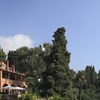 Villa Della Pergola