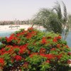 Villa Marina Egypt