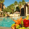 Desert Rose Resort