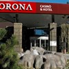 Korona, Casino & Hotel
