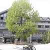 Skogstad Hotel