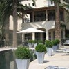 Pastis Hotel St Tropez
