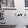 Villa Cornelia Bed & Breakfast
