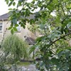 Green Hedges - self catering
