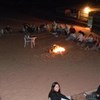 Real Bedouin Camp
