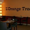 L'Orange Tree