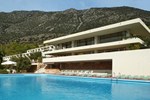 Отель Amalia Hotel Delphi