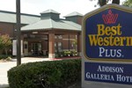 Отель BEST WESTERN PLUS Addison/Galleria Hotel