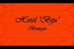 Отель Hotel Biju