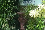 Отель Olmans View Resort