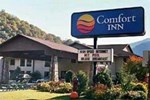 Отель Comfort Inn Maggie Valley