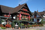 Отель Hotel Swiss Chalet