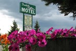 Отель Foothills Motel