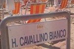 Отель Hotel Cavallino Bianco