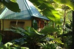 Отель Roots Jungle Retreat