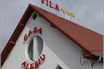 Отель Vila Casa Alesiv