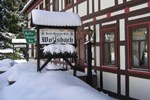 Отель Hotel Pension Cafe Wolfsbach