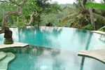 Sayan Terrace Resort
