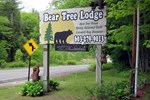 Отель Bear Tree Lodge