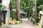 Отель Surfs Inn Rainforest Cottages