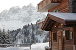 Отель Mountain Lodge
