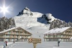 Апартаменты Mont Blanc Alpine Estate