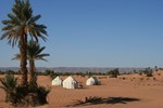 Отель Sahara Safari Camp
