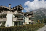 Apartment Steinberg Leogang I