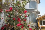 Хостел Dali Old town Guest House