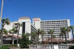 Отель Hilton Galveston Island Resort