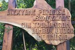 Alexyane Paradise Bungalow