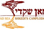 Shkedi's Camplodge