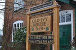Old Ivy House Bed & Breakfast