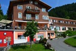 Отель Hotel Restaurant Alpina