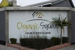 Мини-отель Organic Square Guesthouse