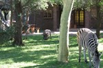 Phumula Kruger Lodge and Safaris